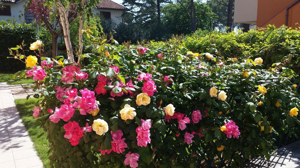 A Due Passi Dal Mare B&B ヌマーナ エクステリア 写真