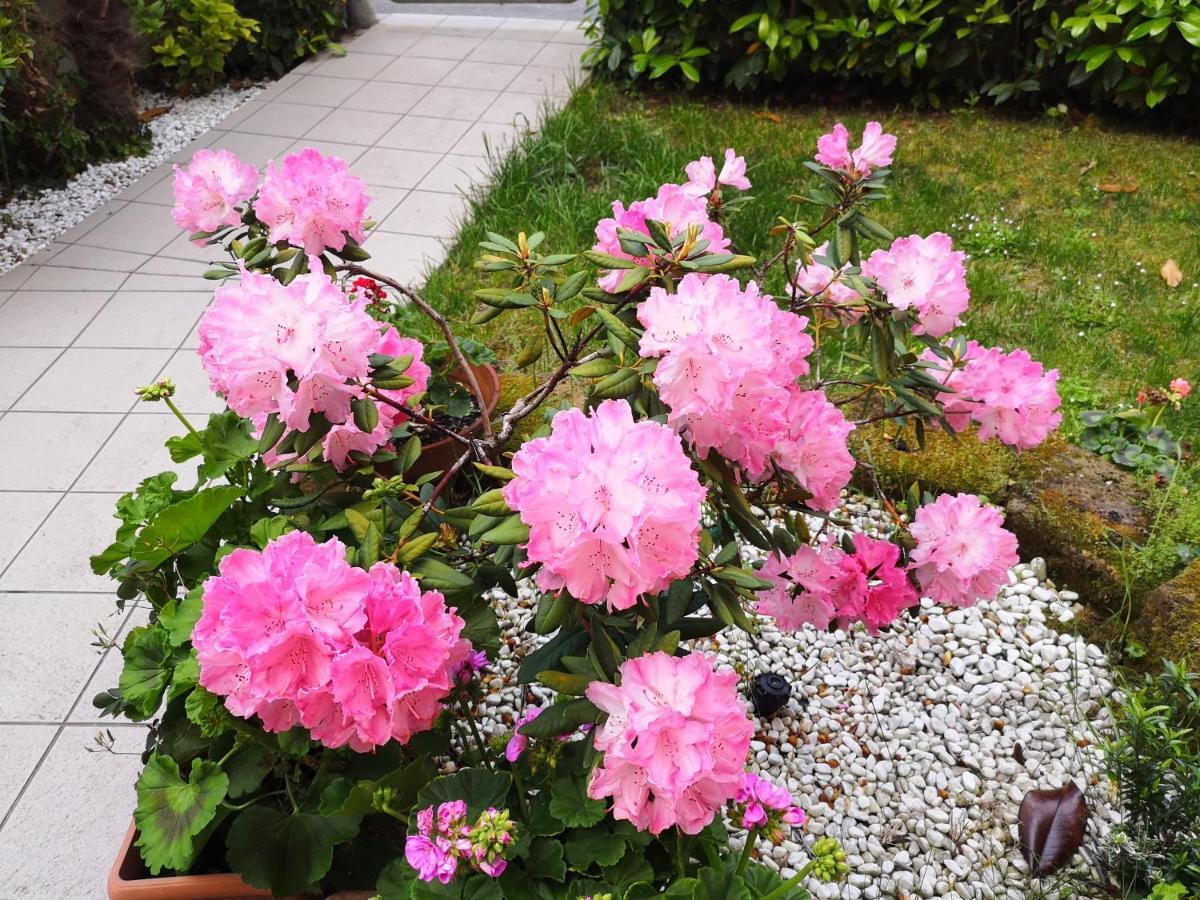 A Due Passi Dal Mare B&B ヌマーナ エクステリア 写真